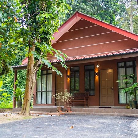 Cinta Abadi Resort Bidur Kültér fotó